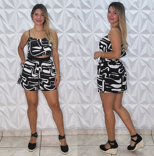 Abstract Set