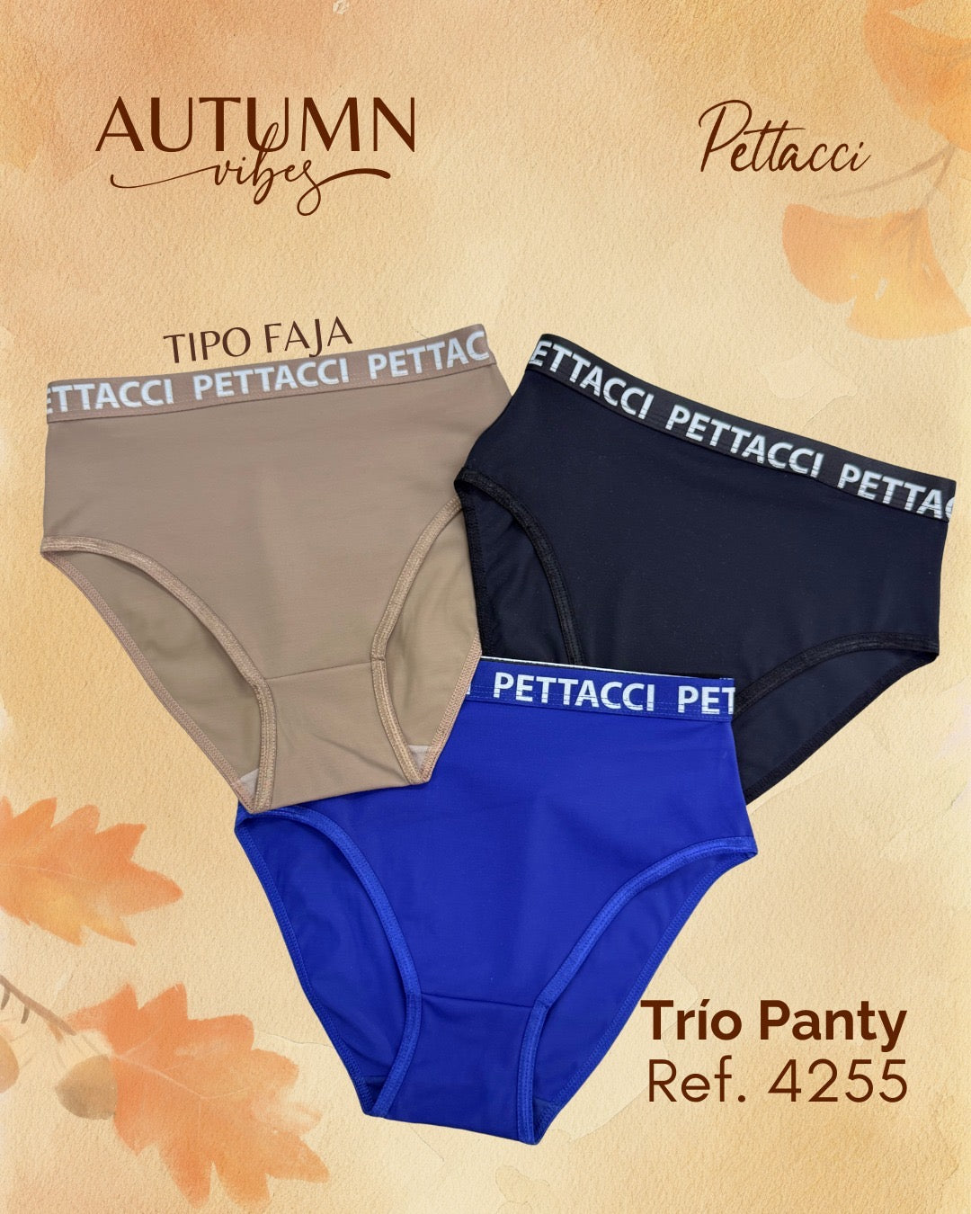 Faja Panty Ref. 4255