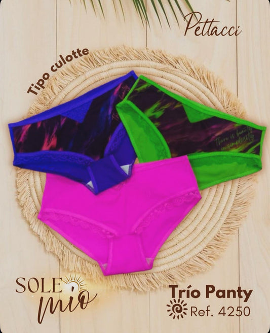 Braga Culotte Pettacci